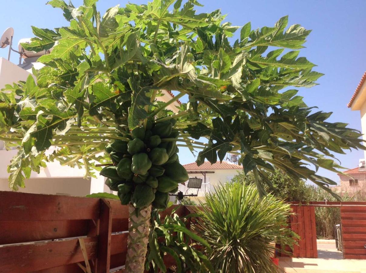 Carolyn Villa Is A Luxury 4-Bedroom Villa With Private Pool In أيا نابا المظهر الخارجي الصورة